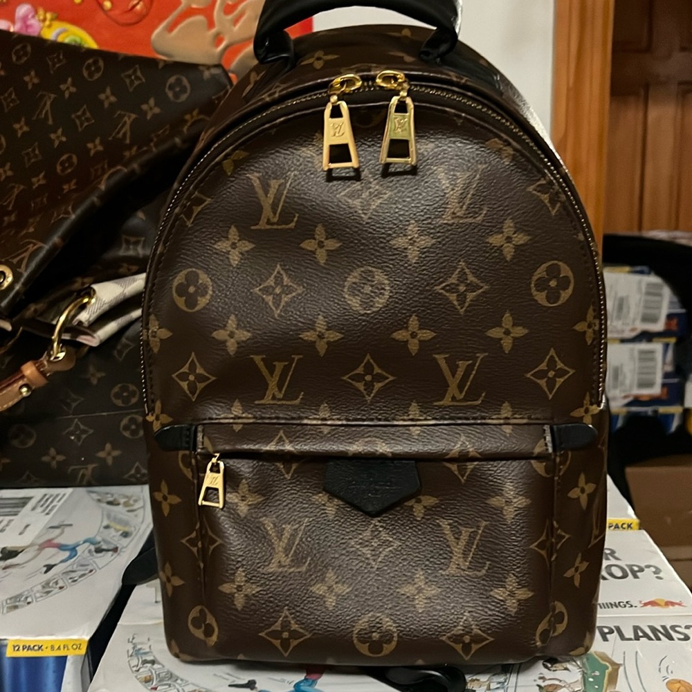 Louis VuittonMonogram Palm Springs Backpack pm